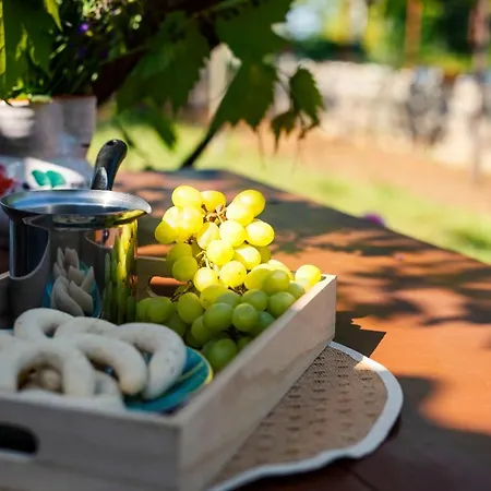 House Nono Holiday home Labin (Istria)