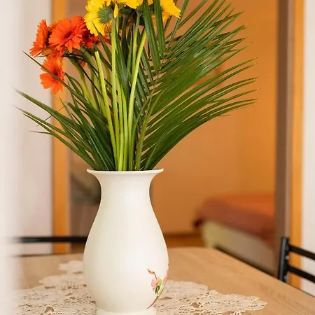 House Nono Labin (Istria)