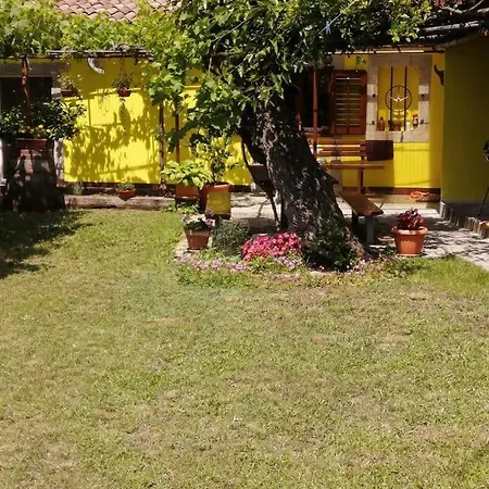 House Nono Holiday home Labin (Istria)